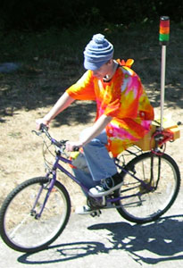 Traffic Light Bike